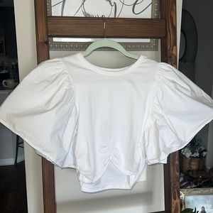 Zara Cropped Bat Wing Short Sleeve Blouse